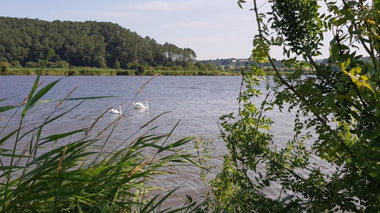 Belle Visnonia Meuble De Caractere Sud Morbihan Béganne Exteriér fotografie